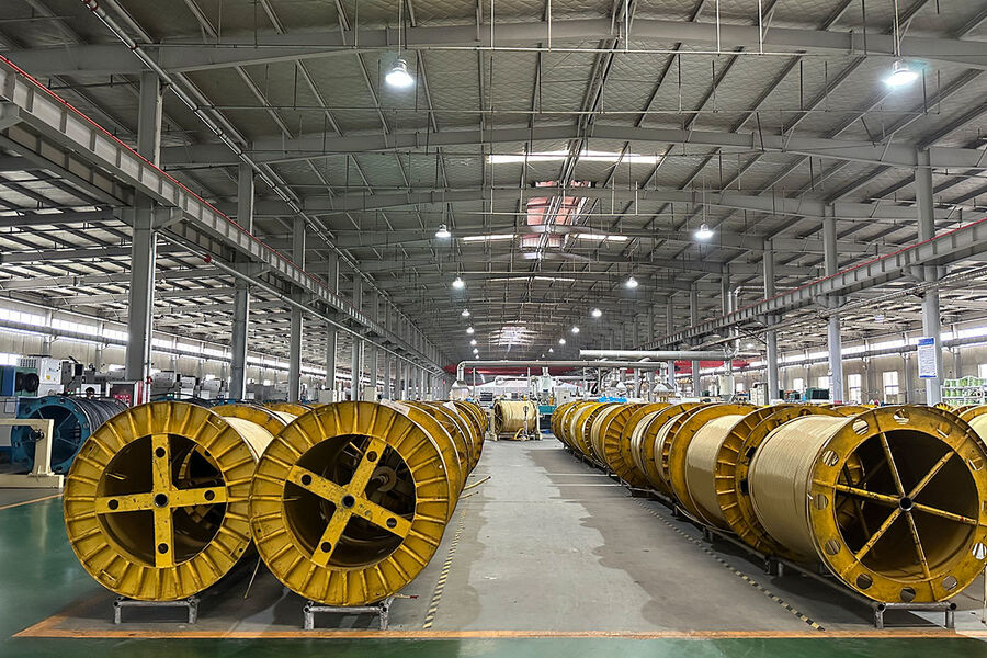 Jiayao Co., Ltd. 製造者の生産ライン